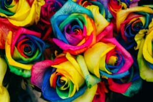 Photo by Denise Chan on Unsplash -- colorful flowers, decor